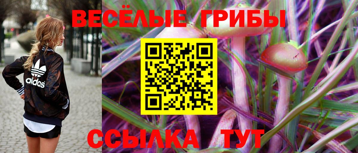 Псилоцибиновые грибы ЛСД Орехово-Зуево